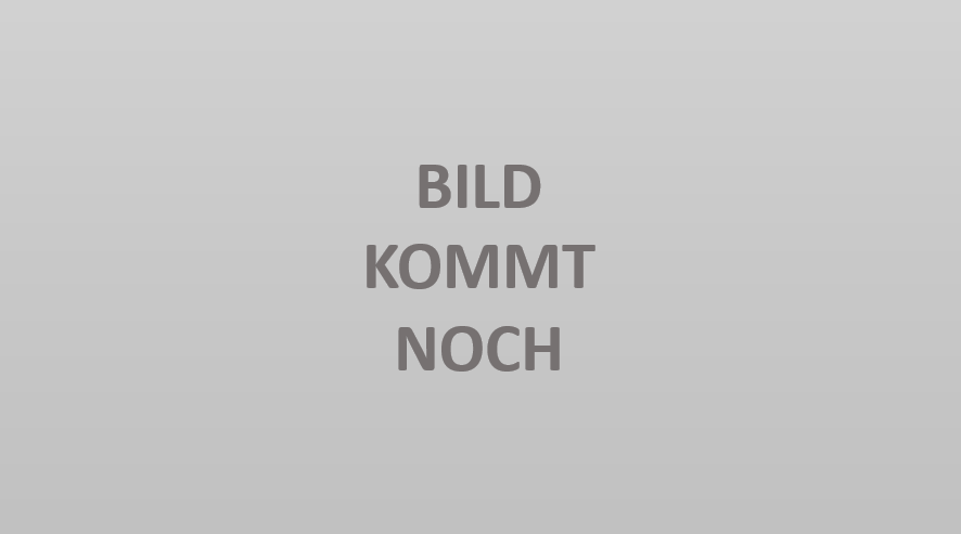 PROFILINE Führungsbohrer für HM-bestückte-Lochsägen